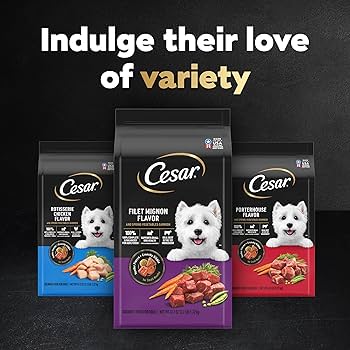 FLAVOR.× PORTER DOG RUCK Amazon.com : Gooby Comfort X One Dog Harness - Head-in Dog